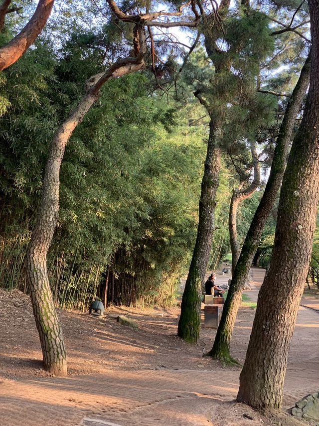 동궁과월지 📍 경주 피크닉 명소