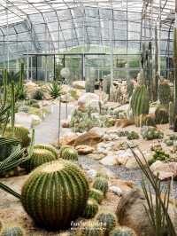 🌵Botanist Activity Space & Cafe