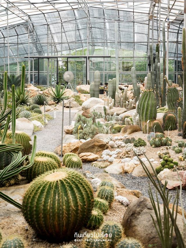 🌵Botanist Activity Space & Cafe