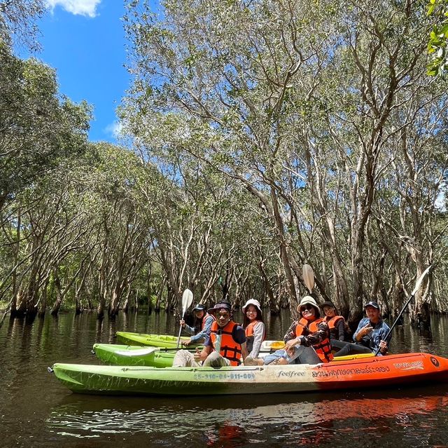  🚣‍♂️🌳🌿พายเรือชมป่าเสม็ด เช็คอินถิ่นระยอง🐠💦🏝