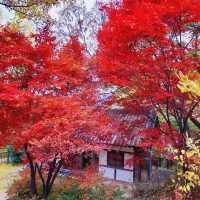 Omokdae in autumn, Jeonju