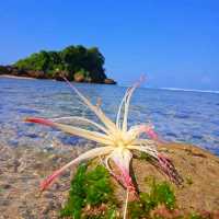 Banyu Meneng Beach