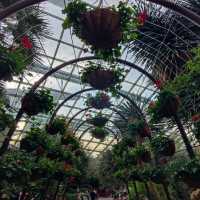 Christmas @ Flower Dome