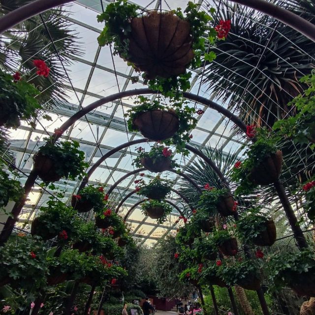 Christmas @ Flower Dome