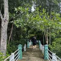 Explore the 🪵mangrove park @ Lumut 