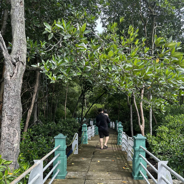 Explore the 🪵mangrove park @ Lumut 