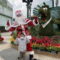 《🎅🏻海洋公園～HO HO HO 🔔 好「芬」• 好玩 · 好聖誕🎄》