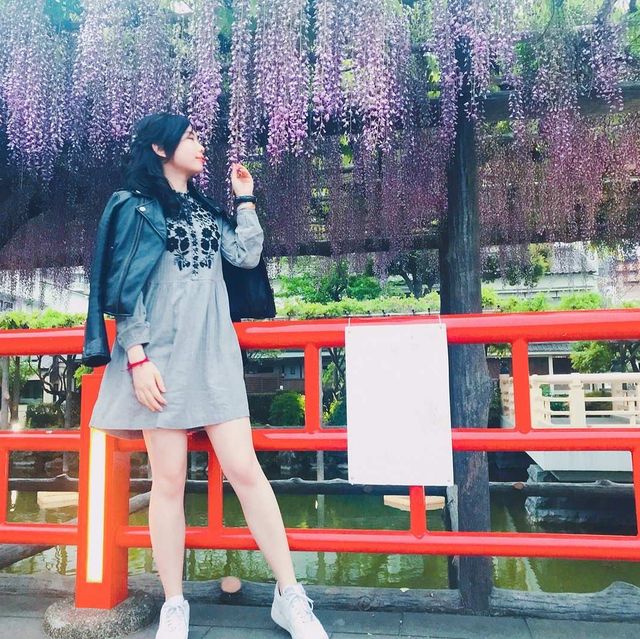 我和紫藤花有個約會 💜💜💜💜 東京