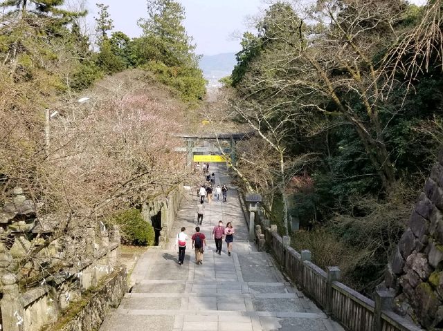 四國必遊 日本人一生一定要到一次的金刀比羅宮