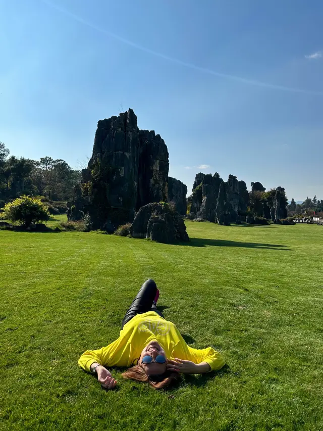 Stone Forest 