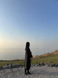 백수해안과 보리밭이 어우러진 영광카페,카페 보리