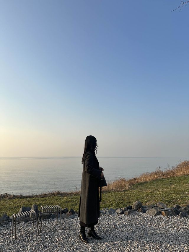 백수해안과 보리밭이 어우러진 영광카페,카페 보리