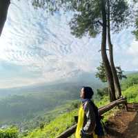 KABAYAN HILLS - BOGOR