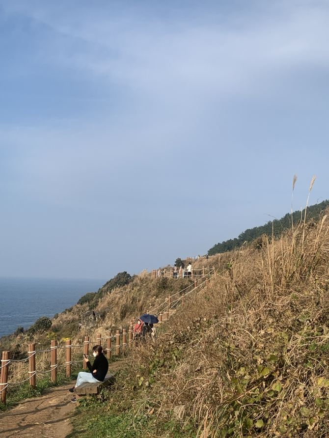 함덕을 바라보다, 서우봉 | 트립닷컴 제주도 트래블로그