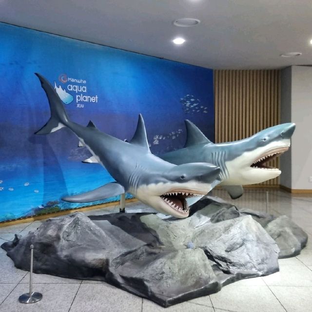 동심으로 돌아간듯한 [아쿠아플라넷 제주]