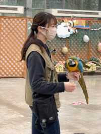 【掛川花鳥園】「花と鳥とのふれあい」が楽しめるテーマパーク