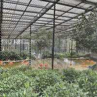 老少咸宜的香港動植物公園⛲️