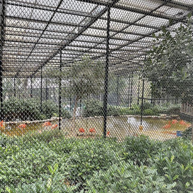老少咸宜的香港動植物公園⛲️