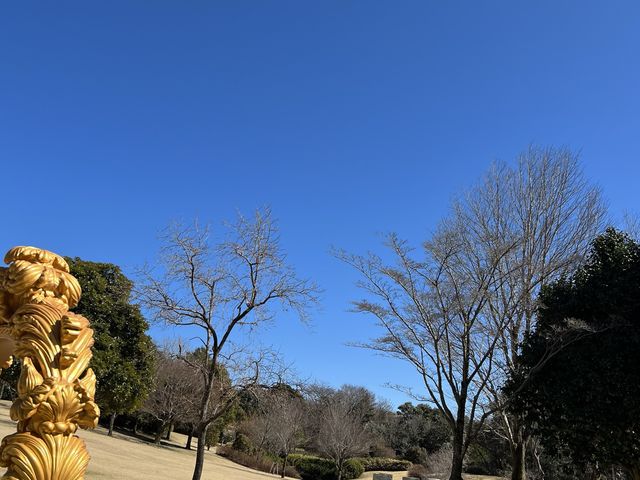 【鹿児島】霧島アートの森の現代アート①