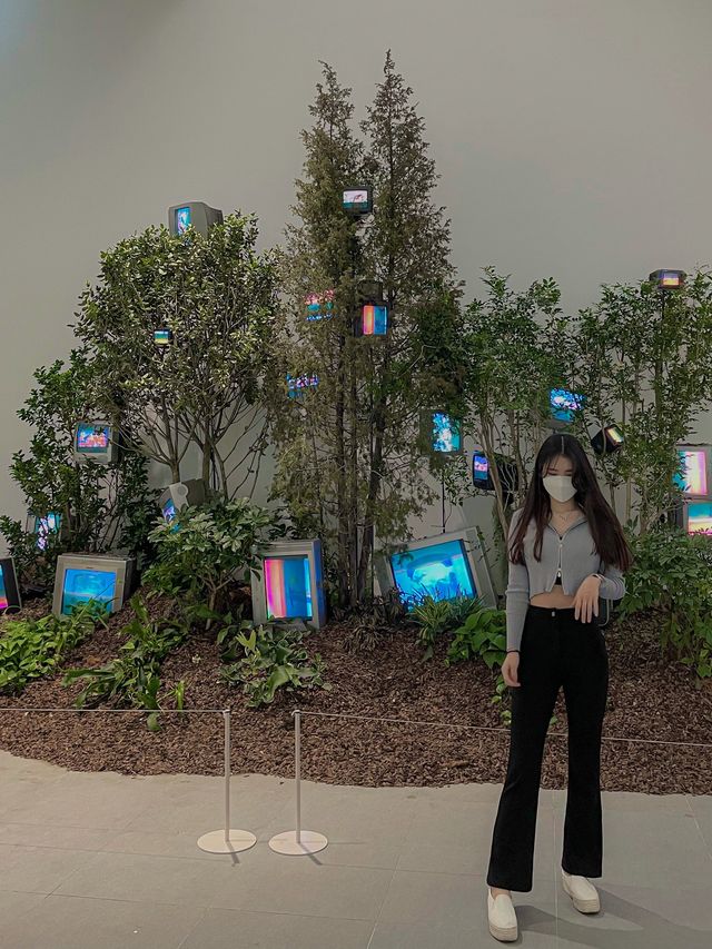 따끈따끈한 울산 핫플, 울산 시립미술관!
