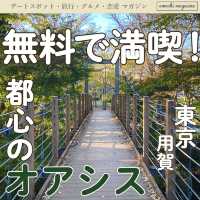 【無料で楽しめちゃう！】東京・用賀の砧公園は自然がいっぱい