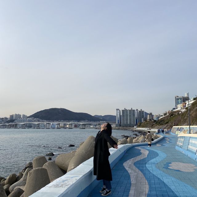 부산여행에서 꼭 가야하는 곳 ✨