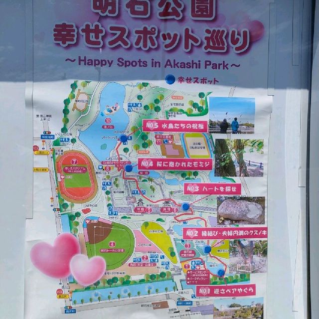 【兵庫 明石城跡】 美しすぎる城跡💗💗💗🌸