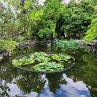 香港好去處 ～ 荔枝角公園 