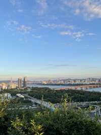 응봉산에서 하는 서울 구경🍃