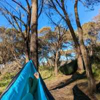 Soak in the sun and sea at Binalong Bay