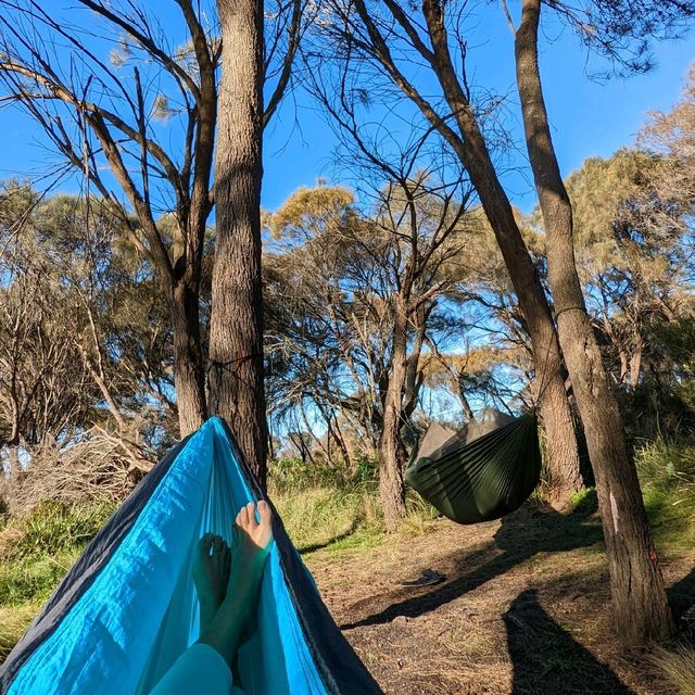 Soak in the sun and sea at Binalong Bay