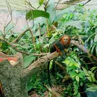 Trip to River Wonders