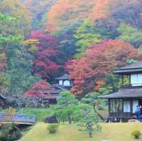 神奈川県にある三渓園！😆