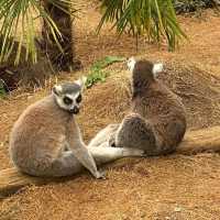 英國最具規模的野生動物公園及花園
