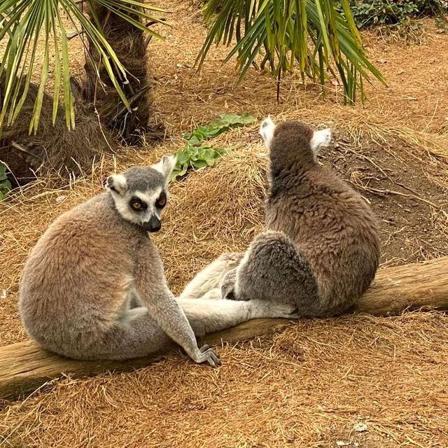 英國最具規模的野生動物公園及花園