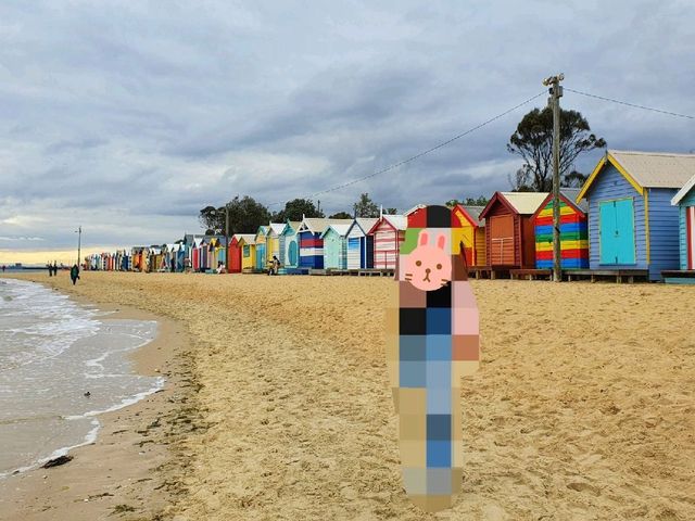 호주 멜버른 관련 여행꿀팁 tmi 이모저모 🇦🇺📝