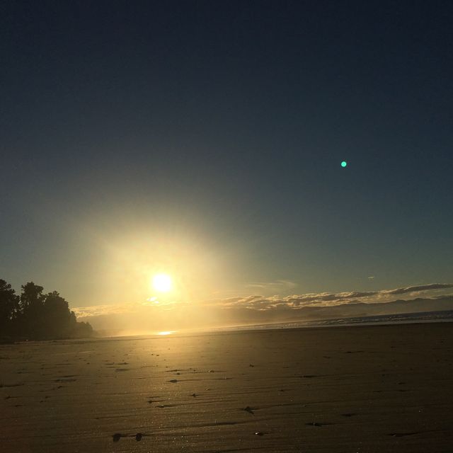뉴질랜드 남섬 래빗아일랜드🐇🏖