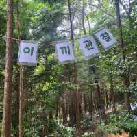 통영 힐링 여행지 '나폴리농원'