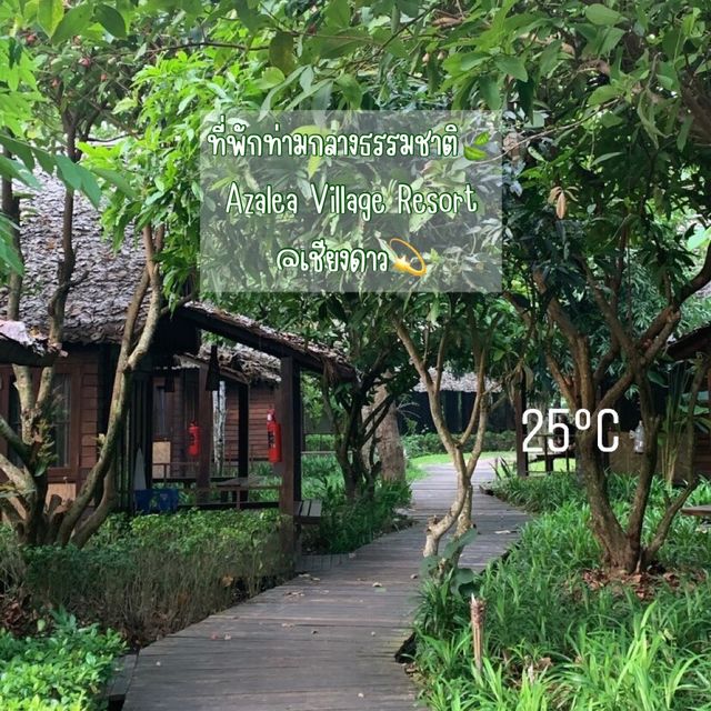 ที่พักท่ามกลางธรรมชาติ วิวดอยหลวงเชียงดาว💫