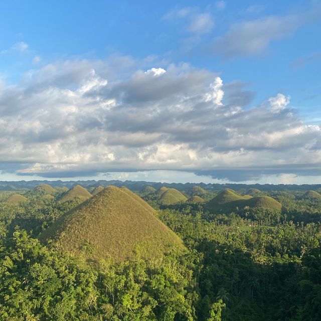 Bohol Chocolate Hills