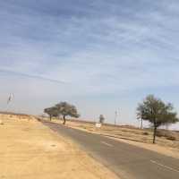 Thar Desert : Sand dunes Jaisalmer 🌴📸