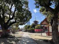 日本大阪四天王寺｜佔地好大又氣派，很漂亮的地方