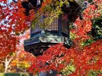 真正極楽寺 (真如堂)