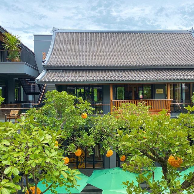태국 치앙마이 한옥 컨셉 복합문화공간 Kalm Village
