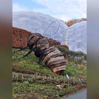化腐朽為神奇～Eden Project @Cornwall