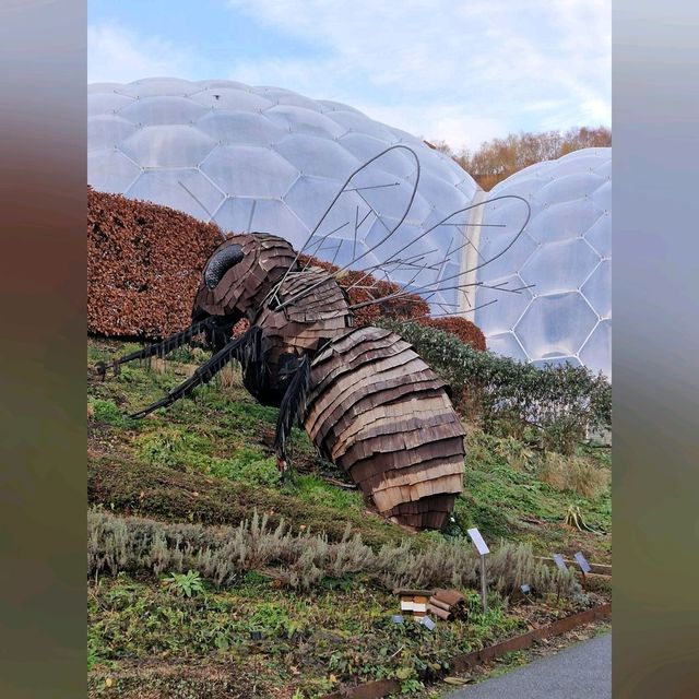 化腐朽為神奇～Eden Project @Cornwall