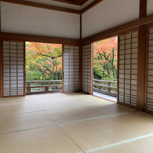 京都紅葉2022 宝筐院の素晴らしい紅葉
