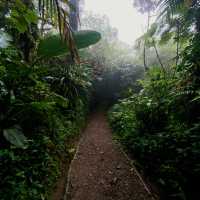 Monteverde Cloud Forest Reserve