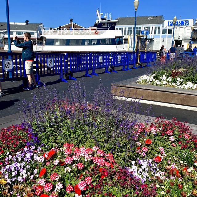 Beautiful Pier 39, San Francisco 