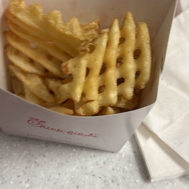 Fun day at Jax zoo and eating Chicken fila